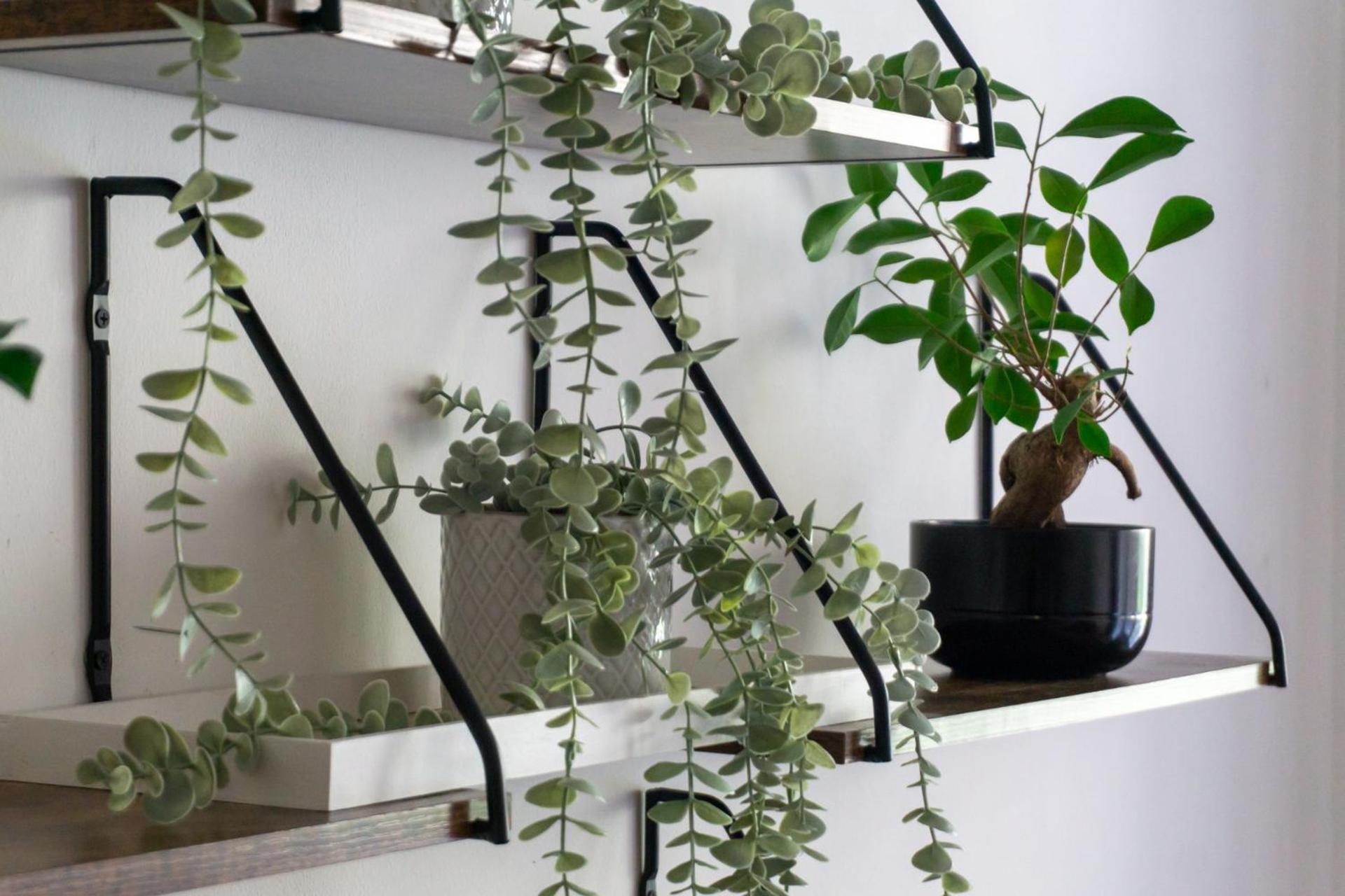 Apartment With Garden Close To Stadthalle, Westbahnhof Vienna Exterior photo